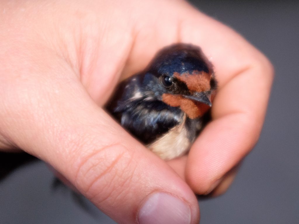 2016-06-17_21-31-02_25797