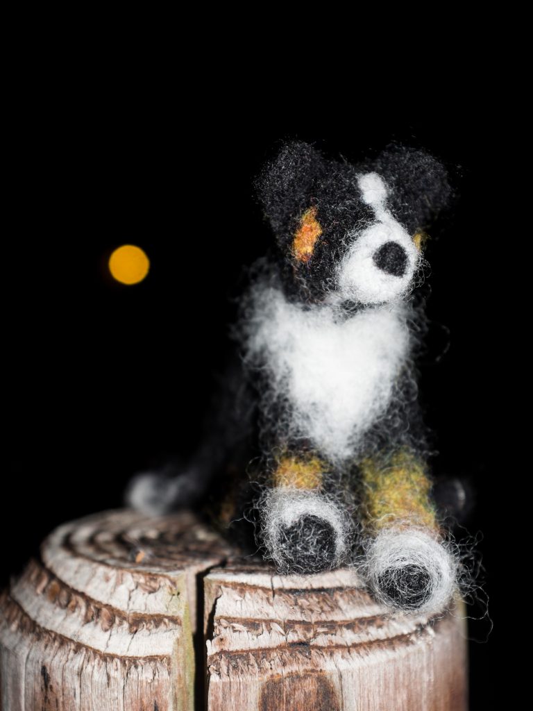 2016-07-15_21-48-23_25915