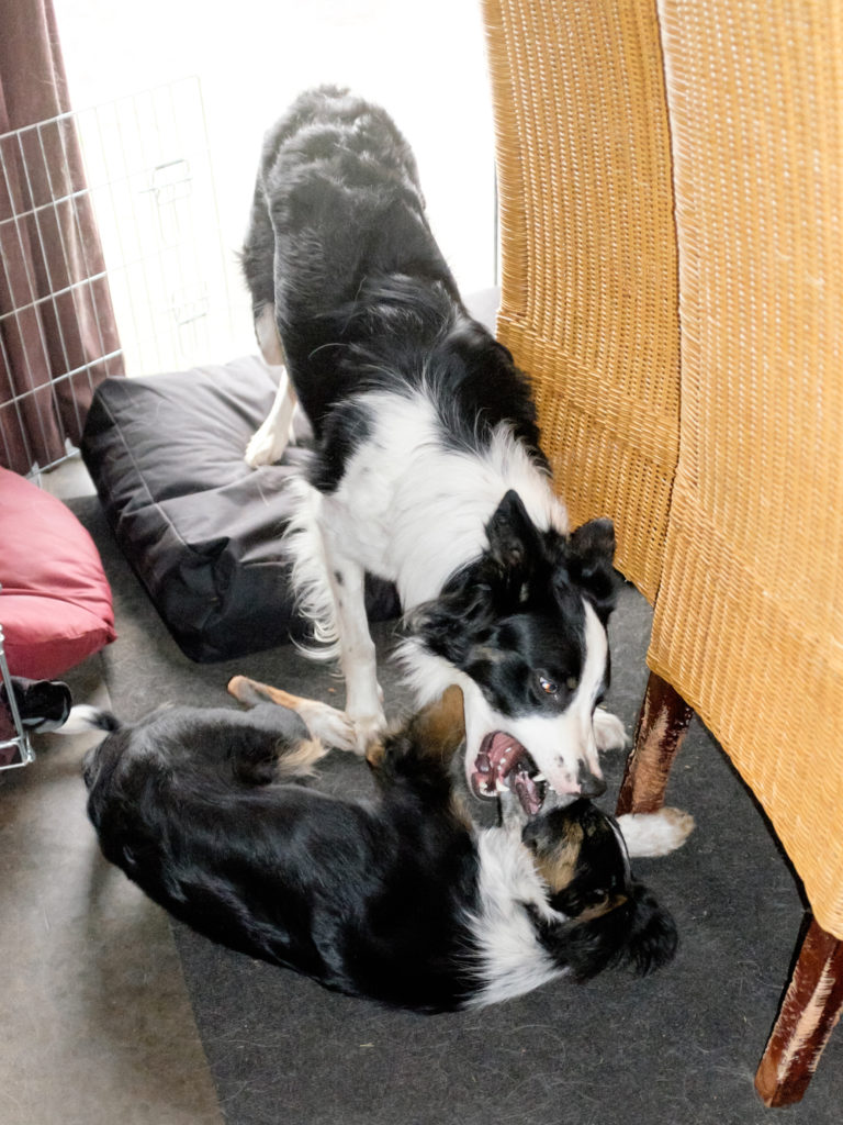 2016-01-16_13-58-04_24760