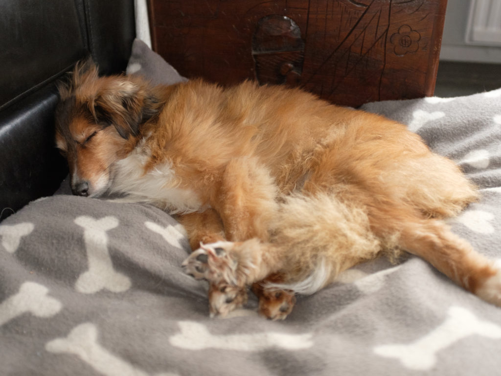 2016-01-16_14-03-33_24762