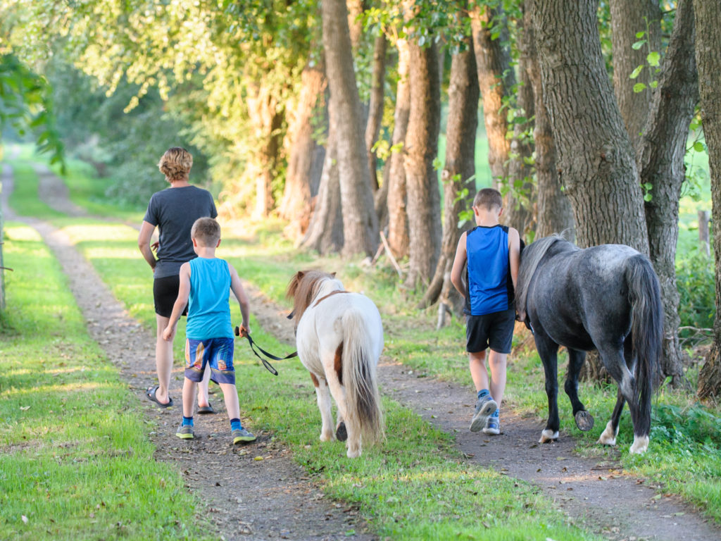 2016-09-13_18-53-23_26469